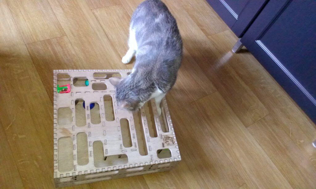 Game for cats : investigated
