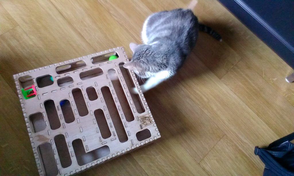 Game for cats : first impression
